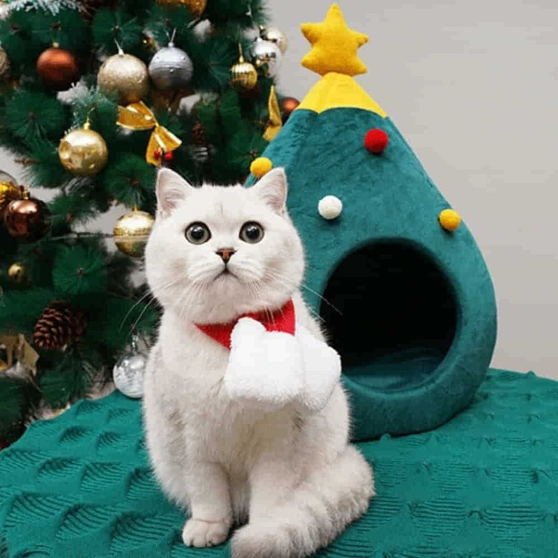Product Photo of Cat Sitting in Front of the House - Christmas Tree Bed or House for Cat and Dog