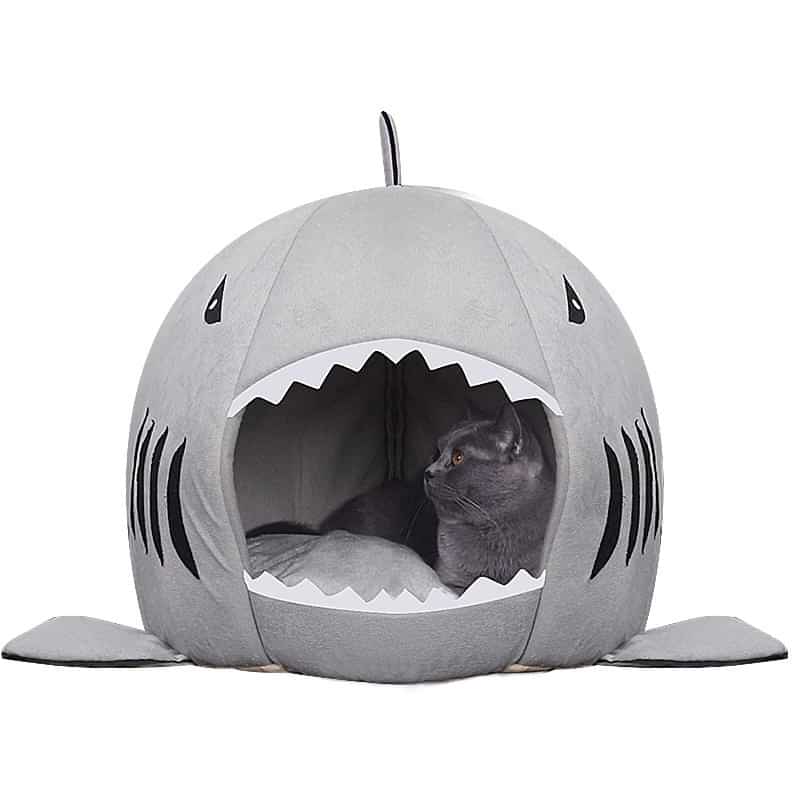 Cat Lying Inside - Shark Bed or House for Cat and Dog