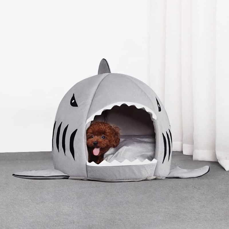 Small Dog Lying Inside - Shark Bed or House for Cat and Dog