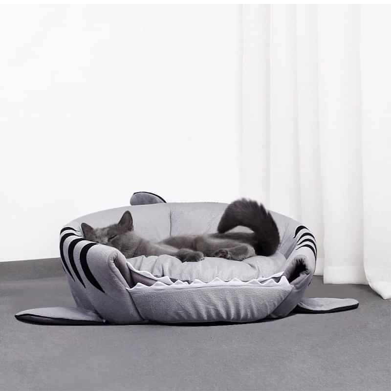 Cat Lying on Top of - Shark Bed or House for Cat and Dog